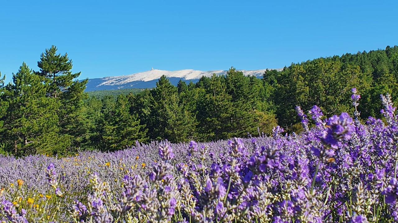 A Ventoux Yourte Monieux エクステリア 写真