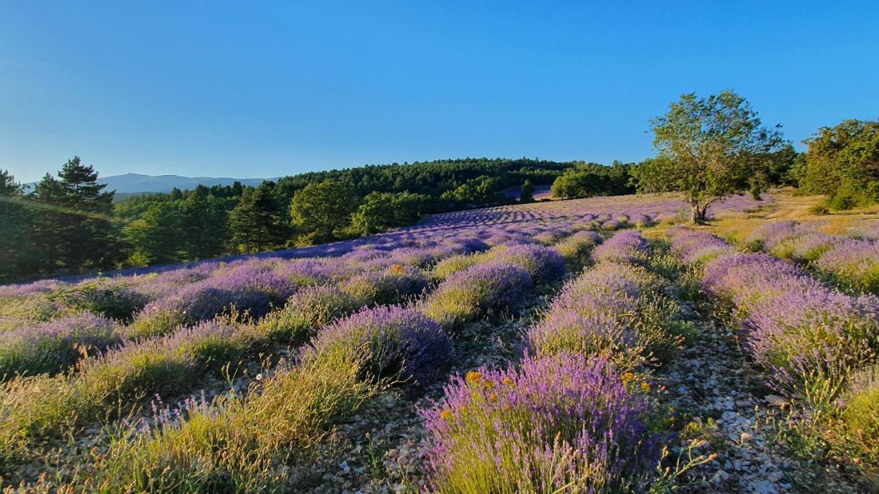 A Ventoux Yourte Monieux エクステリア 写真
