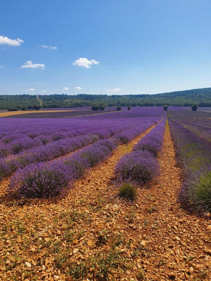 A Ventoux Yourte Monieux エクステリア 写真