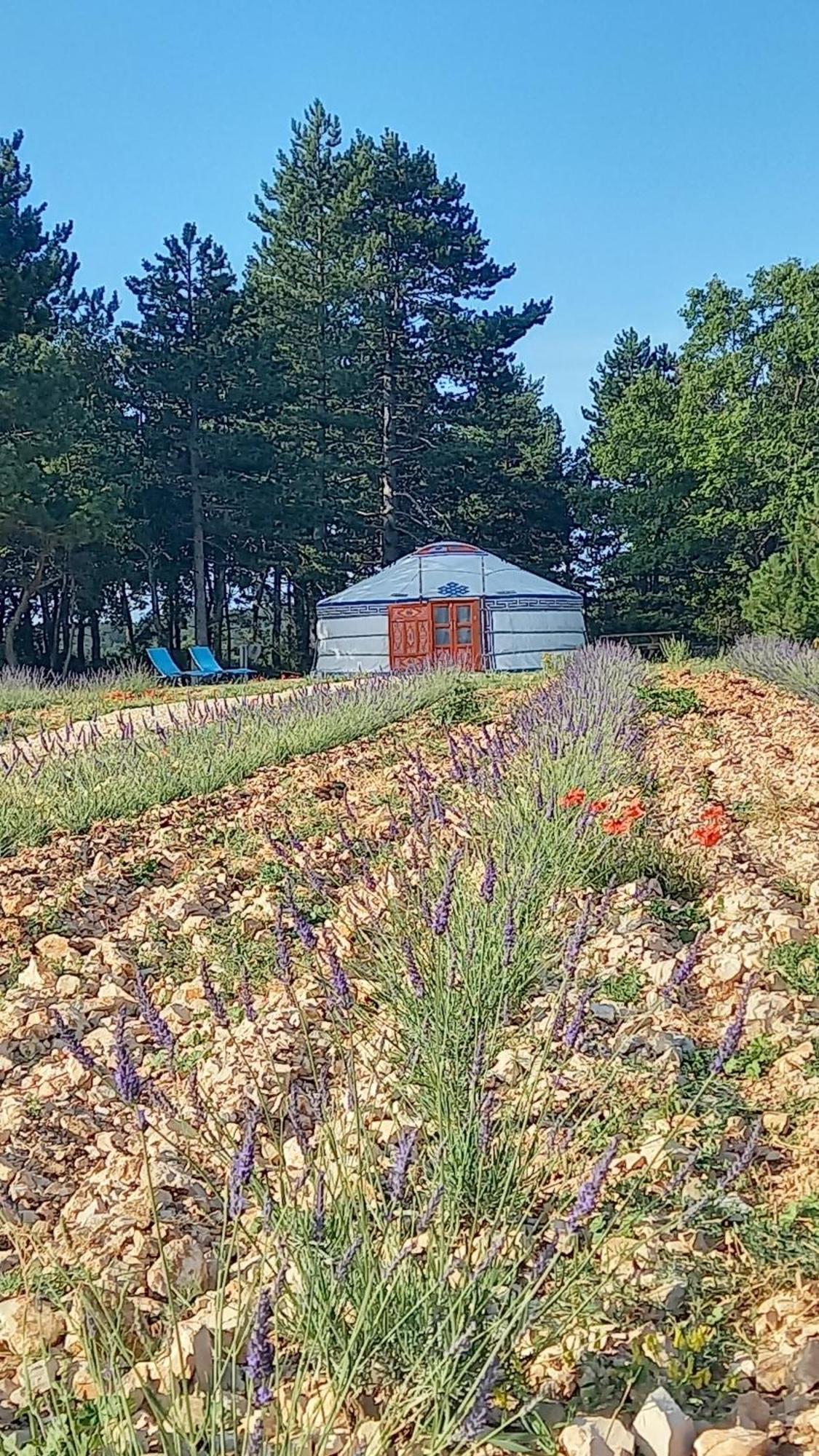 A Ventoux Yourte Monieux エクステリア 写真