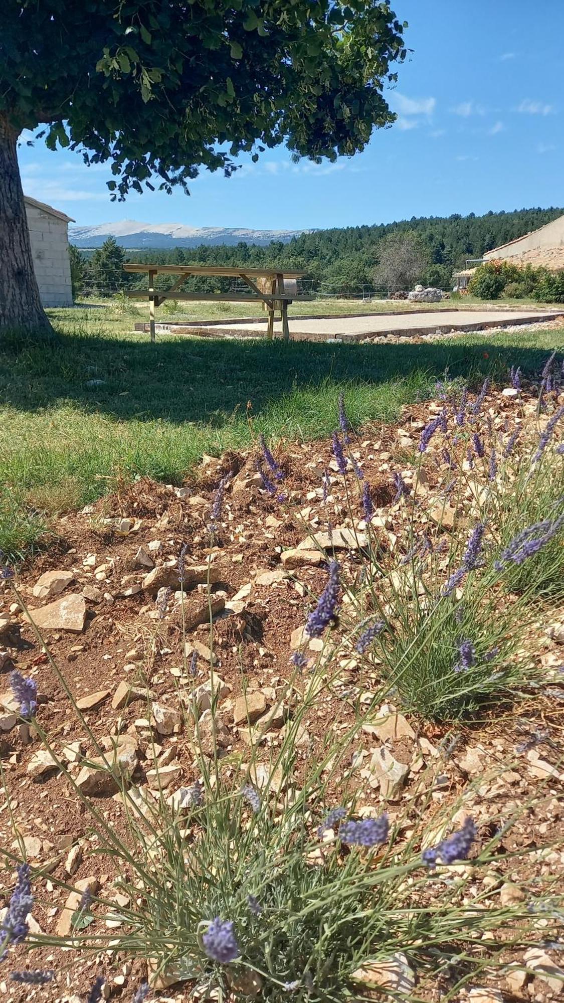 A Ventoux Yourte Monieux エクステリア 写真