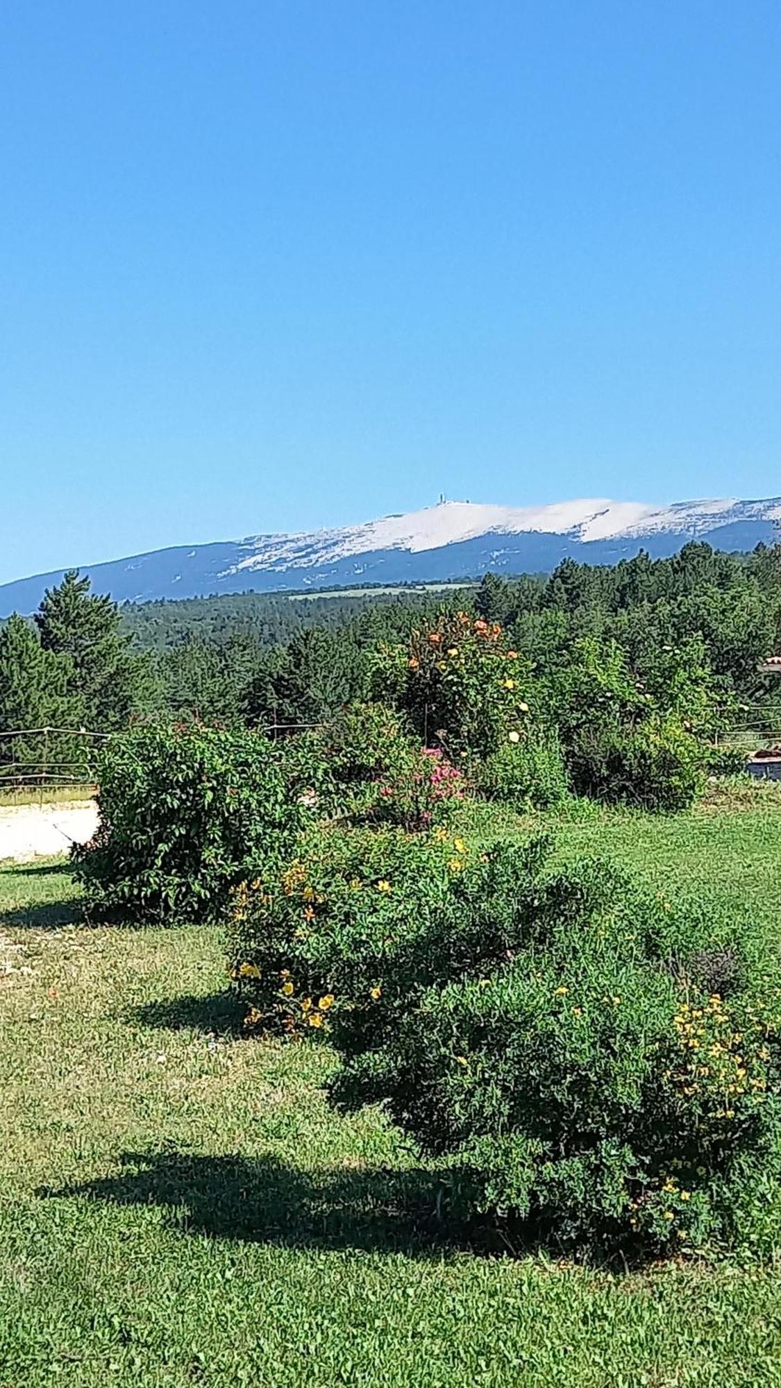 A Ventoux Yourte Monieux エクステリア 写真