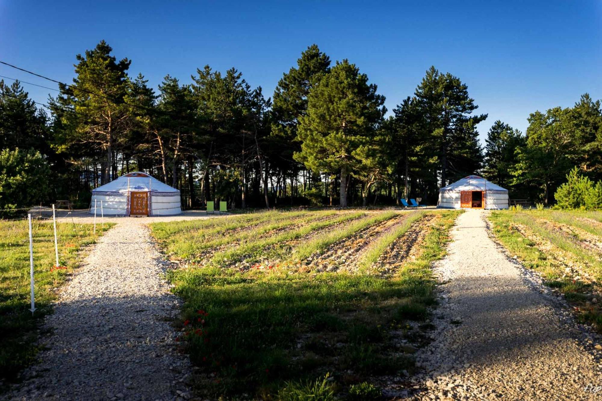 A Ventoux Yourte Monieux エクステリア 写真